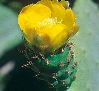  Una naturaleza preservada